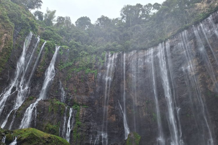 A group tour from Bali to Ijen crater, Tumpak Sewu, Bromo - end in Surabaya/ Yogyakarta 4D Group trip from Bali to Ijen crater, Tumpak Sewu, Bromo - end Surabaya/ Yogyakarta 4D3N Group trip from Bali to Ijen, Tumpak Sewu, and Bromo tour - end in Surabaya/ Yogyakarta by using shared transport with other tourist 4D I 1 traveler can join! Bromoijencratertour.com