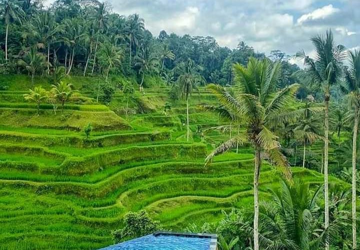 Bali trip to Nice Beach and Hill View tour 2D Bali holiday tour for 2 days travel package to nice beach and hill view Bali holiday tour for 2 days travel package to Bedugul highland tours, ATV ride tours, Bali water sport tours, Suluban beach tours and Uluwatu sunset tours  Bromoijencratertour.com