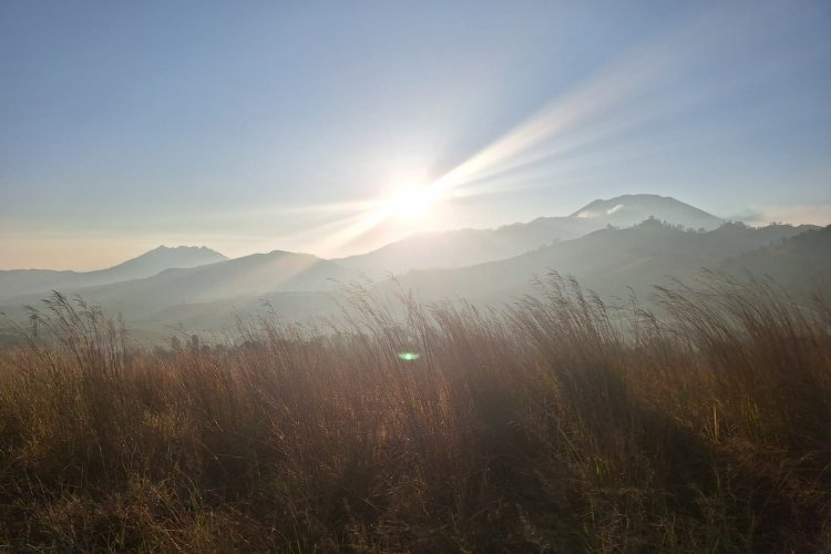 Borneo orangutan, and river cruise - continues for Java Bali trip includes Bromo Ijen crater tour 14D  Borneo orangutan, and river cruise - continues for Java Bali trip includes Bromo Ijen crater tour 14D  Starts from Jakarta to exploring Indonesia for Borneo orangutan and river cruise tours, continues for Java Bali trip - includes Bromo Ijen crater tour 14D13N Bromoijencratertour.com