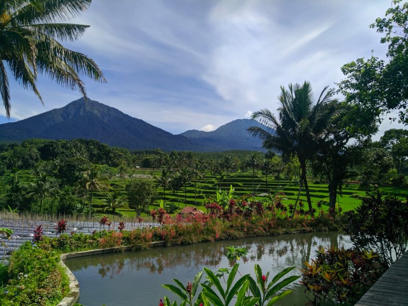 Bromo Sunrise & Savanna to Kalibaru Ijen Tours Bali 4D Sunrise view and Bromo savanna to Kalibaru then Ijen crater tour - Bali 4D I Bromo Ijen crater tour Java expedition adventure tour package for 4 days trip from Malang or Surabaya to sunrise view, Bromo tour, Kalibaru plantation tour, Ijen tour and to Bali Bromoijencratertour.com