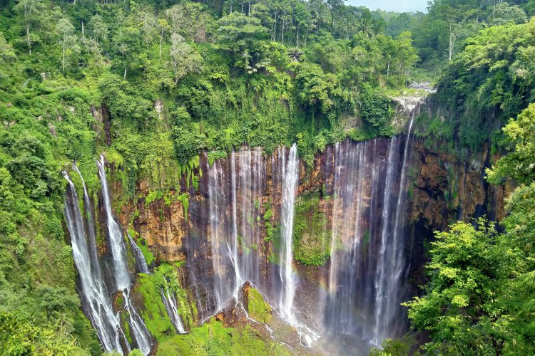 Cheap travel price to Bromo, Tumpak Sewu and Ijen tour - back to Surabaya 4D Cheap travel price to Bromo, Tumpak Sewu and Ijen tour - back to Surabaya 4D Cheap travel to Bromo, Tumpak Sewu and Ijen tour - to do sunrise Bromo tour, the biggest waterfall tour, Ijen crater tourand back to Surabaya by a train 4D Bromoijencratertour.com