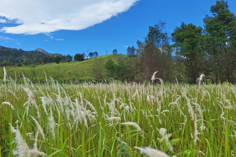 Full day west Nusa Penida tour Bali Island trip for full day West Nusa Penida tours I Bromo Ijen crater tour Bali 1 day your amazing holiday trip in Bali, Indonesia for west Nusa Penida Island tours with our Bali representatif team of Bromo Ijen crater tour Bromoijencratertour.com