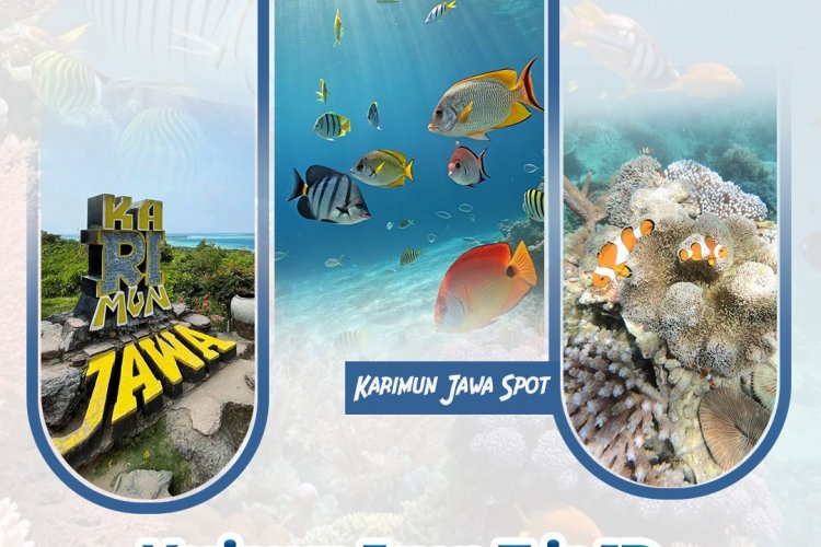 Hopping Island and Snorkeling tour of Karimunjawa - 1 day trip 1 day holiday trip for snorkeling and hopping Island tours of Karimunjawa, Central Java - Indonesia 1 day holiday trip for snorkeling and hopping Island tours of Karimunjawa, Central Java - Indonesia for backpackers, honeymooners or private travel package  Bromoijencratertour.com