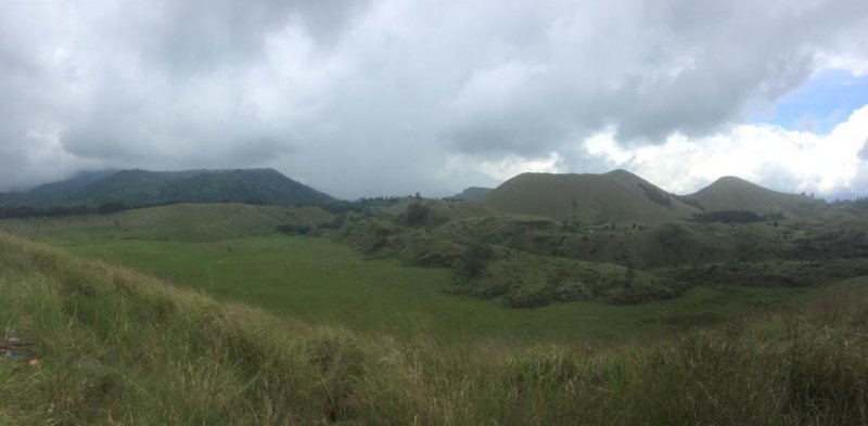 Ijen blue fire & Bromo sunrise savannah tour to Yogya 4D Java amazing tours from Banyuwangi for Blue Fire Ijen Tour, Bromo Sunrise Tour, Bromo Savannah Tour  Java amazing tours for 4 days trip from Banyuwangi for Blue Fire Ijen Tours, Bromo Sunrise Tours, Bromo Savannah Tours to Surabaya & take a train to Yogyakarta Bromoijencratertour.com