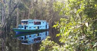 Jakarta to Borneo Orangutan, Java, Bromo Ijen and Bali Tour Package 15D14N Jakarta Borneo Orangutan Java Bromo Ijen Bali Tour 15 Days 15 days Indonesia tour from Jakarta to Borneo orangutan, Java heritage, Mount Bromo, Ijen Crater and Bali. Private tour with houseboat, volcano hike and cultura Bromoijencratertour.com