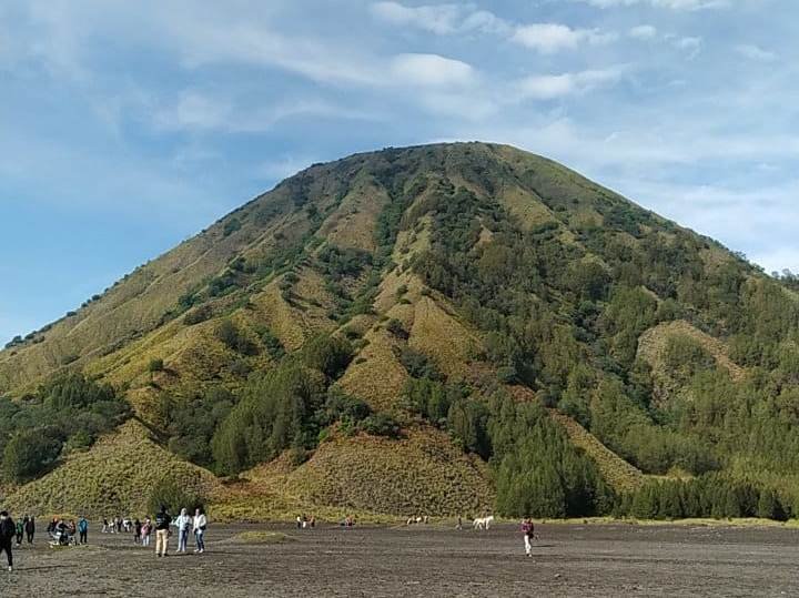 Night Bromo Ijen Tour back to Bromo Surabaya 5D Night trip from Surabaya for Bromo Sunsrise, Bromo Savannah & Ijen Crater Tours with Blue Fire Ijen  Night trip from Malang or Surabaya for Bromo Sunsrise, Bromo Savannah & Ijen Crater Tours with Blue Fire Ijen Tours and then back to Surabaya Bromoijencratertour.com
