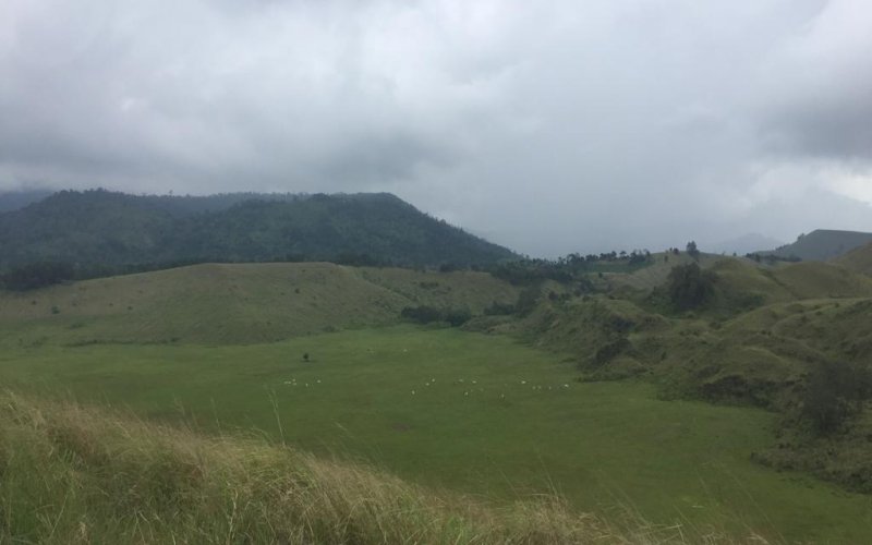 Optional trip package for Savannah Bromo tours Savannah Bromo tours for your optional trip package of Ijen Bromo tour holiday Bromoijencratertour.com