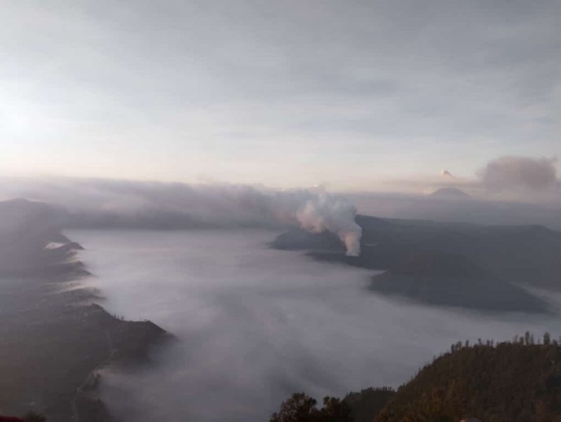 Surabaya to Batu tourism Bromo Sunrise & Savannah 3D East Java trip from Surabaya for visiting Batu tourism objects, Bromo sunrise & savannah 3 days East Java trip from Surabaya for visiting Batu Night Spectacular, Museum Angkut, Agro Tourism, Cobanrondo Waterfall, Omah Kayu, Bromo sunrise & savannah Bromoijencratertour.com