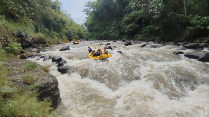 Surabaya to Bromo Rafting & Ijen Tours Surabaya 5D Java Trip from Surabaya for Sunrise Bromo Tours, Water Rafting in Songa, Ijen Blue Fire Tours & Sura Java trip from Surabaya, East Java for Sunrise Bromo Tours, Water Rafting in Songa, Ijen Blue Fire Tours and Surabaya City Tours Bromoijencratertour.com