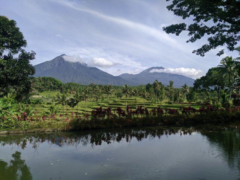 Surabaya to Ijen Sukamade Kalibaru & Bromo Tours 5D trip from Surabaya to enjoy Blue Fire Ijen Tours, Sukamade Beach Tours, Kalibaru Tours, Bromo Sunris 5 days trip from Surabaya to enjoy Blue Fire Ijen Tours, Sukamade Beach Tours, Kalibaru Tours, Bromo Sunrise Tours & Bromo Savannah Tours then back to Surabaya Bromoijencratertour.com