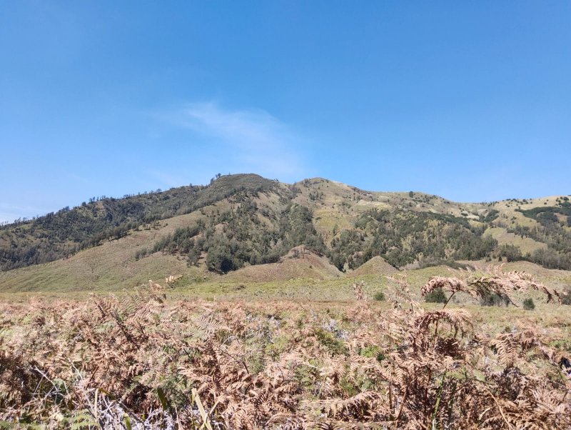 Travel from Yogya to Tumpak Sewu, Mt. Bromo, Ijen crater and Sukamade beach tour,- to Bali 5D Travel from Yogyakarta to Tumpak Sewu, Mt. Bromo, Ijen crater and Sukamade beach tour,- to Bali 5D Java adventure tours from Yogyakarta to Tumpak Sewu tour, Mt Bromo tour, Ijen crater tour and Sukamade beach tour,- then to Bali for 5 days holiday trip package Bromoijencratertour.com