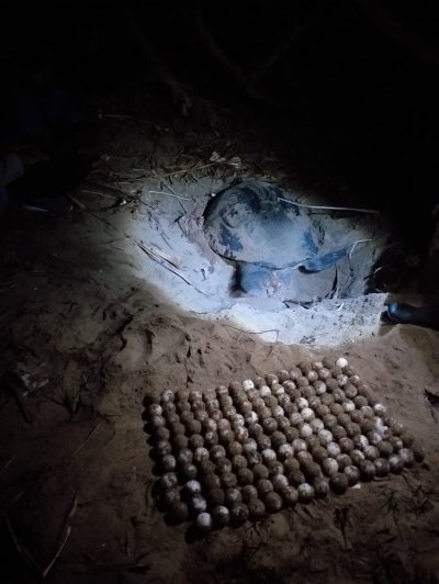 Bali to Sukamade, Ijen crater, Mt. Bromo tour and end in Surabaya/ Malang 4D Bromoijencratertour.com