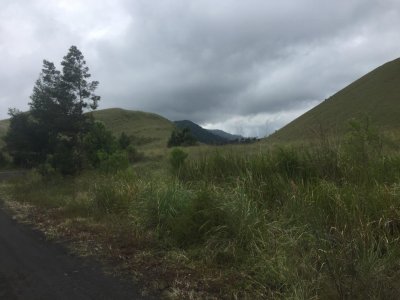 Tour to colorful house Malang to Bromo, Ijen crater and Sukamade beach tours 4D Bromoijencratertour.com