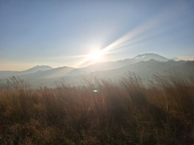 Sukamade turtle beach and Ijen crater tour from Bali - return, for 3 days travel Bromoijencratertour.com