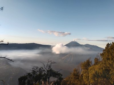 Round away trip from Surabaya or Malang to Paragliding, Bromo and Ijen tour 3D Bromoijencratertour.com